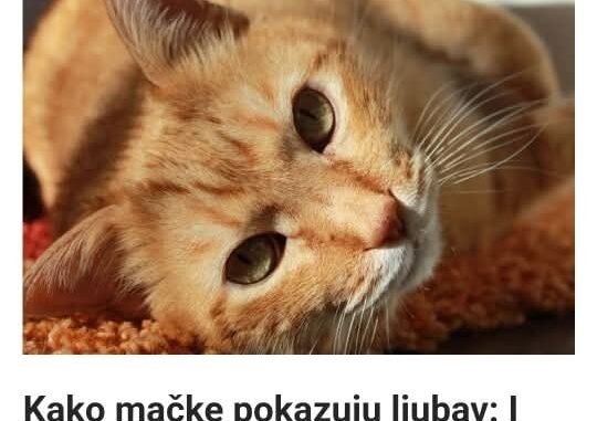 FB_IMG_1747416498804