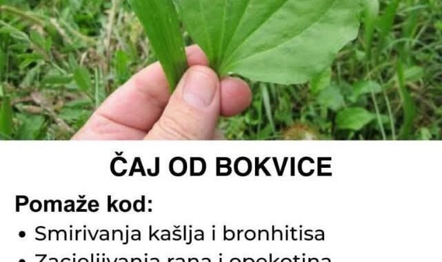 FB_IMG_1746728129660