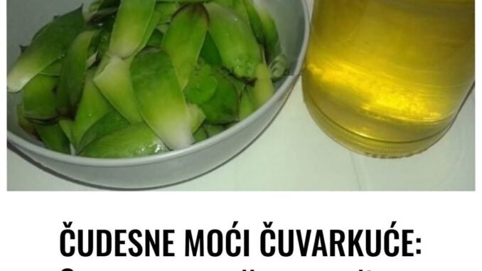 FB_IMG_1746728291733