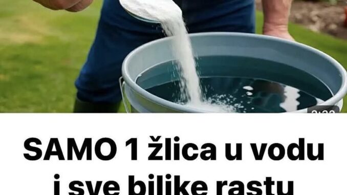 FB_IMG_1749897984377