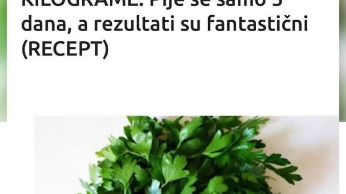 FB_IMG_1749898037611