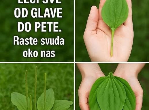FB_IMG_1749913606479