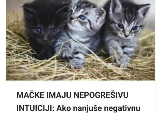 FB_IMG_1748846791860