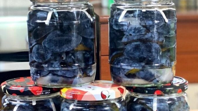 6144bb99-2380-4ad1-886c-1d7f0a0a0a64-258409-img-5997-1-ls-690x480