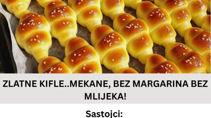 FB_IMG_1757421413668