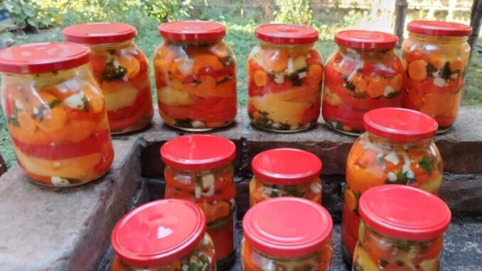 viber_image_2025-09-09_09-59-50-768-800x445