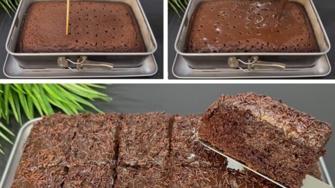 518311101_10228339384059933_2519469542667386598_n-800x445