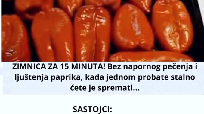 540976853_745446638484264_5644678763581281590_n-1229x1536