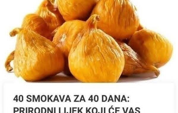 FB_IMG_1759861651269