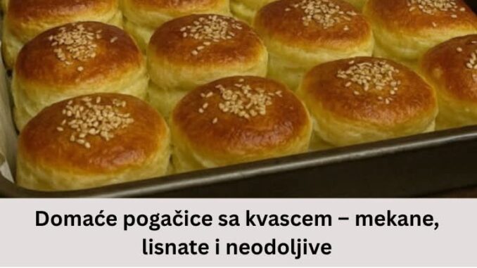 FB_IMG_1761418811688