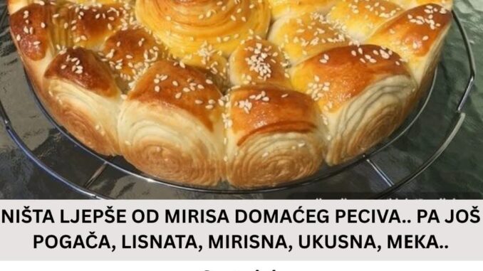 FB_IMG_1761896845668