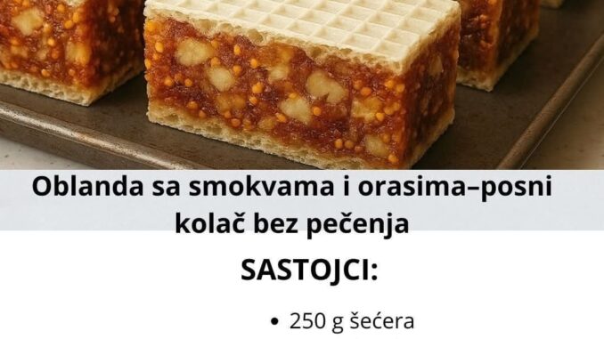 FB_IMG_1761910718569