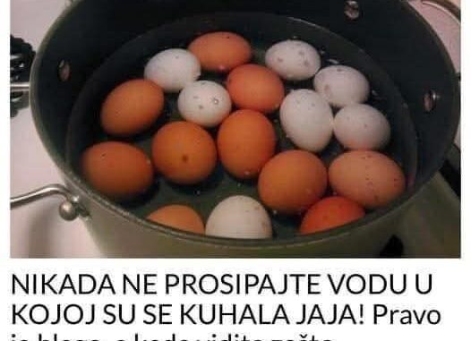 FB_IMG_1762628617807