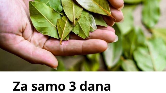 FB_IMG_1762628918819