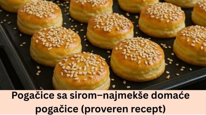 FB_IMG_1763564239131