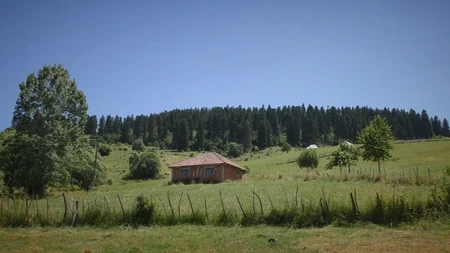 lwlk9kpTURBXy8xNjA4OTAyOWEyZDU2MjI2YjhmMmIxZmRjYmVkZmNjYi5qcGeRkwLNAcIA3gACoTAFoTEC