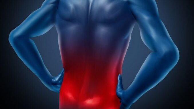 1707583761-zdr-690x480