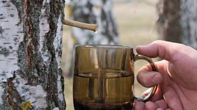 5cee44ab-d3fc-4f3c-96d1-57a60a0a0a64-sok-690x480