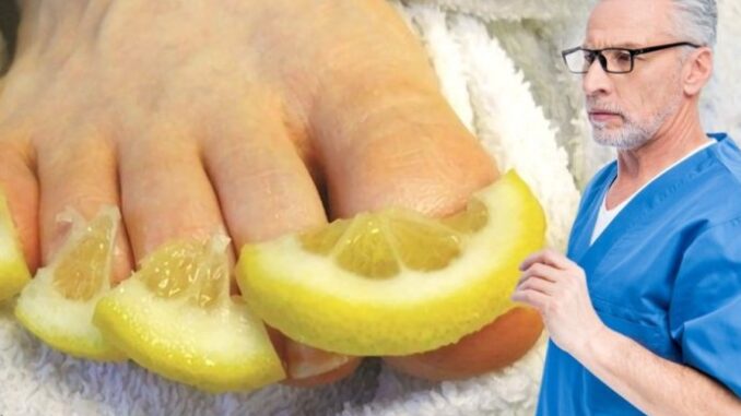 653d12a8-9130-44aa-91e4-4c050a0a0a69-gljivice-690x480