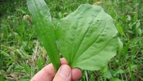 9AE3F764-A45D-474D-91E5-70B1D1C0AC48