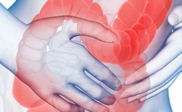 crijevo-biljka-620x431