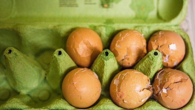 Broken,Eggs,With,Cracked,Egg,Shell,In,Green,Egg,Carton