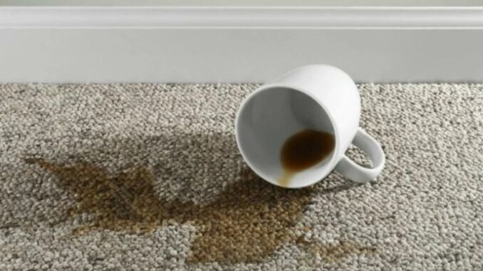 6576e5bb-3f74-427b-97d2-490a0a0a0a69-mrlja-od-kafe-tepih-medium-9april23-690x480