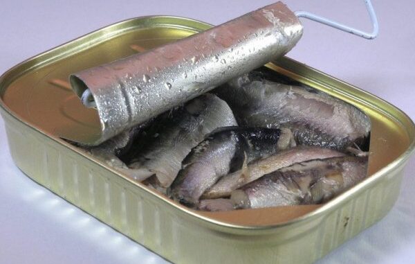 sardine